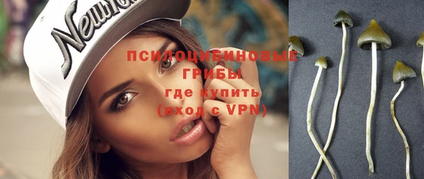 дживик Куйбышев