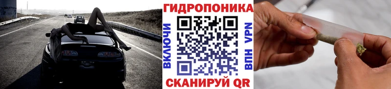 Бошки марихуана Amnesia Купить Бердск